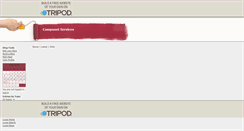 Desktop Screenshot of compunetservices.tripod.com
