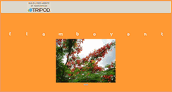 Desktop Screenshot of flamboyantsxm.tripod.com