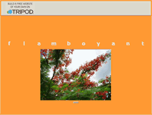 Tablet Screenshot of flamboyantsxm.tripod.com