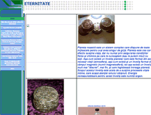 Tablet Screenshot of eternitate.tripod.com