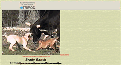 Desktop Screenshot of bradyranch.tripod.com