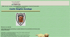 Desktop Screenshot of castleheightsgundogs.tripod.com
