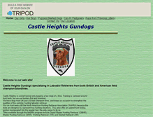 Tablet Screenshot of castleheightsgundogs.tripod.com
