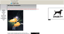 Desktop Screenshot of nixtaytay.tripod.com