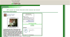 Desktop Screenshot of freealoeplant.tripod.com