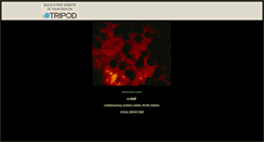 Desktop Screenshot of pigbag.tripod.com