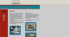 Desktop Screenshot of deniseshomegrownpitbulls.tripod.com