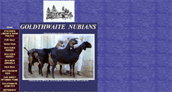 Desktop Screenshot of goldthwaite-nubians.tripod.com