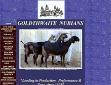 Tablet Screenshot of goldthwaite-nubians.tripod.com