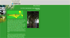 Desktop Screenshot of mosa24.tripod.com