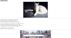 Desktop Screenshot of kittytribe.tripod.com
