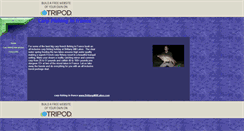 Desktop Screenshot of carpfishinginfrance.tripod.com