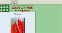 Desktop Screenshot of barbwestnc.tripod.com