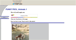 Desktop Screenshot of funnypicsanimals1.tripod.com