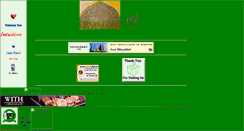 Desktop Screenshot of amirriaz.tripod.com