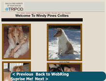 Tablet Screenshot of p.j.jenkins.tripod.com