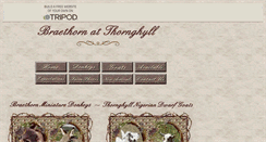Desktop Screenshot of braethorn.tripod.com