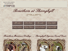 Tablet Screenshot of braethorn.tripod.com