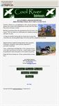 Mobile Screenshot of coolriverlabs.tripod.com