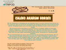 Tablet Screenshot of calensarabians.tripod.com
