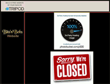 Tablet Screenshot of bitsnbobsonlinecuriositystore.tripod.com