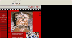 Desktop Screenshot of maelcitron.tripod.com