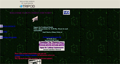 Desktop Screenshot of nativeperspectives.tripod.com