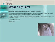 Tablet Screenshot of dragonflyfarm0.tripod.com