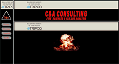 Desktop Screenshot of candaconsulting.tripod.com