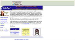 Desktop Screenshot of intobiz.tripod.com