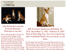 Tablet Screenshot of evenstar.tripod.com