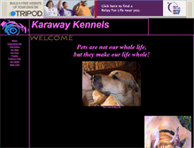 Tablet Screenshot of karaway.tripod.com