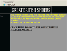 Tablet Screenshot of greatbritishspiders.tripod.com