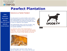 Tablet Screenshot of pawfectplantation.tripod.com