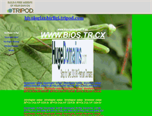 Tablet Screenshot of biyologlar.birligi.tripod.com