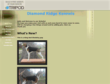 Tablet Screenshot of diamondridge.tripod.com