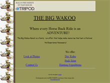 Tablet Screenshot of bigwakoo.tripod.com