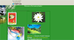 Desktop Screenshot of lannainter.tripod.com