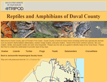 Tablet Screenshot of duvalherps.tripod.com
