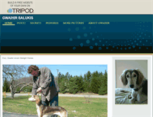 Tablet Screenshot of barbking.tripod.com