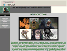 Tablet Screenshot of primateevolution.tripod.com