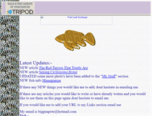 Tablet Screenshot of bigguapote.tripod.com