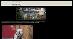 Desktop Screenshot of countryclubbulldogs.tripod.com