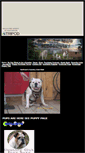 Mobile Screenshot of countryclubbulldogs.tripod.com