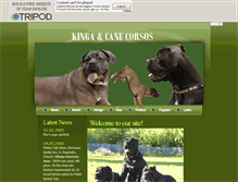 Tablet Screenshot of kingacorsos.tripod.com