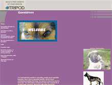 Tablet Screenshot of cookiemiller.tripod.com