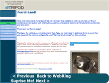 Tablet Screenshot of ferret-land.tripod.com