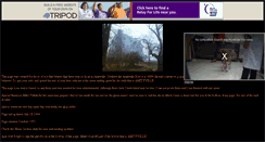 Desktop Screenshot of amityvillehorror.tripod.com