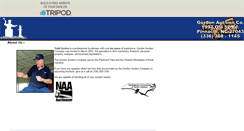 Desktop Screenshot of michellebowennc.tripod.com
