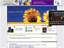 Tablet Screenshot of ameekomarketing.tripod.com